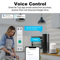 Sakelar Pemutus Sirkuit WIFI Smart Switch 63A 1P dengan Pengukuran Daya, Pemantauan, Timer, dan Relay untuk Rumah Pintar dengan Kontrol Jarak Jauh Nirkabel