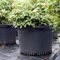 Vente directe d'usine, pots à fleurs ronds classiques en HDPE de la marque HuaJin HJ-CJ00714 pour pépinières et plantes bonsaï