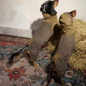 Suéter acogedor para perros <span class=keywords><strong>con</strong></span> patas y ropa cálida para mascotas para una cobertura de cuerpo completo en invierno - Product Image 6