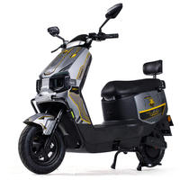 Nouvelle trottinette électrique adulte 2025, 2 places, deux roues, batterie au lithium 1000W, moteur à moyeu arrière, course