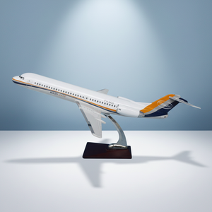 Modelo de Avión de Escritorio Fokker 100 Mass Lease - Material de Resina, Escala 1:100, Color y Patrón Personalizables, 47 cm - Product Image 3