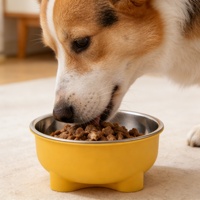 Mangkuk Makan Anjing Kucing Plastik Stainless Steel Food Grade Alas Anti Selip Kapasitas Besar Mangkuk Dalam Dalam Berkapasitas Besar Mudah Dibersihkan Tahan Lama Cantik