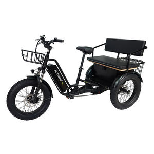 Tricycles électriques longue portée Batterie 48v 20ah <span class=keywords><strong>Tricycle</strong></span> électrique Siège arrière 3 roues Vélo cargo électrique pour bébé - Product Image 6