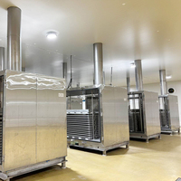 Industriële automatische fluidized bed vriezer, snelvriezer, concurrerende prijs voor snelvriezen van groenten en fruit