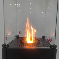 Chauffe-terrasse extérieur moderne en acier, sans charbon de bois, à pellets, avec flammes sur tous les côtés, chauffage énergétique, directement de l'usine certifiée BSCI ISO9001
