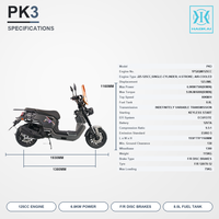 Scooter 125CC, moteur refroidi par air, démarrage sans clé, EFI, freins à disque avant et arrière, réservoir de carburant de 8 L, 80 km/h, EURO 5 pour adultes