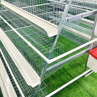 Cage à poules pondeuses galvanisée pour élevage en batterie, vente de cages pour poulets pondeuses, cage à poules pondeuses Rtl