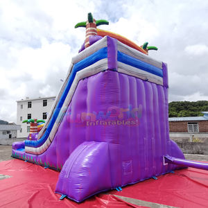 Structure gonflable aquatique tropicale pour enfants, avec toboggan aquatique violet, pour le jardin. - Product Image 4