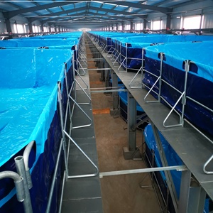 Bassin d'élevage de poissons en PVC 5000L pour Tilapia et <span class=keywords><strong>Grouper</strong></span>, système de pisciculture en plastique, certifié ISO9001, vente chaude à prix abordable - Product Image 4