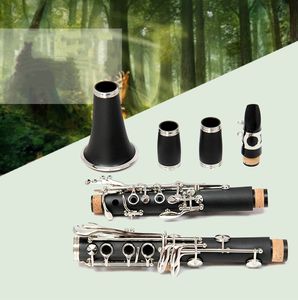<span class=keywords><strong>Clarinete</strong></span> Profesional de Nivel Profesional en Sib con Tono Soprano, 17 Llaves de Baquelita y Estuche de Cuero - Product Image 4