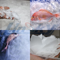 Machine à glace en flocon pour poisson 500kg par jour Machine à glaçons en flocon