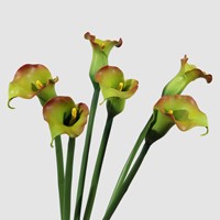 Susunan Bunga Pernikahan Buatan Tangan dari Calla Lily dan Alocasia Buatan, Bahan PVC Model FS056 Grosir Lintas Negara