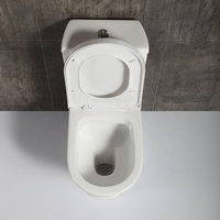 Toilettes de salle de bains sanitaires en céramique, deux pièces, montées au sol