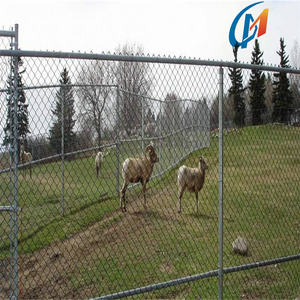 Clôture rentable de maillon de chaîne de pâturage enduit/galvanisé de puissance d'enceinte d'animal de fil métallique pour la ferme de moutons - Product Image 4