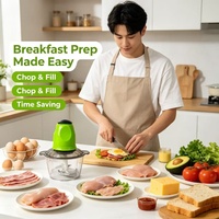 Hachoir Électrique de Cuisine avec Bol Transparent, Mini Broyeur Multifonctionnel pour la Préparation de Viandes et de Légumes