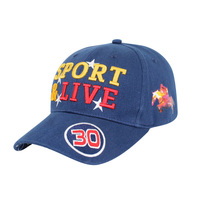 Casquettes en jean personnalisées avec logo brodé, casquettes de baseball violettes de créateur, vente en gros