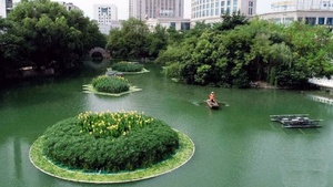 Combinado paisaje Artificial isla flotante ecológica para restauración de Río - Product Image 6