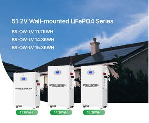 Tùy chỉnh 5KW 11Kw pin 48V năng lượng mặt trời năng lượng 100Ah 200AH 230ah 300ah Lithium tường Pin LiFePO4 gói 51.2 Volt điện tường - Product Image 4