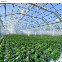 Système hydroponique de serre agricole intelligente multi-chapelle SINO AGRI avec film PE monocouche, kit complet personnalisable de 1000 m²