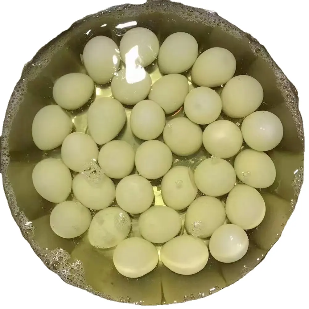 Fabrik lieferung 425g gekochte gesalzene Wachtel eier in Dosen
