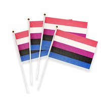 Vente en gros polyester mini petit drapeau agitant à la main arc-en-ciel transgenre Lgbtq intersexe progrès drapeaux de fierté