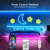 Neonawall Vente en gros Bande lumineuse LED néon RGB 24V personnalisée 5m DIY IP65 Étanche pour Chambre Gaming Décoration Intérieure Extérieure