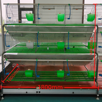 Cage à lapins à 3 niveaux et 18 niches, cage à animaux pour usage agricole, cage d'élevage de lapins galvanisée à chaud