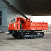 Minipala Cingolata da 2 Tonnellate con Motore Diesel e Sistema Idraulico per Uso Agricolo, Paddy e Fattorie, con Elevato Momento di Carico - Produzione Cinese