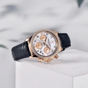 PAGANI DESIGN PD1730 Fashion Multifunctional Ladies Quartz <b>Watches</b> Luxury Sapphire Glass <b>Watch</b> for Women Nice Packing Gift Reloj - Product Image 4