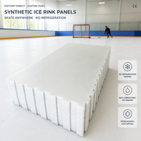 Panneaux de patinoire synthétique WLT en UHMWPE, dalles de glace artificielle emboîtables, pour usage commercial intérieur et extérieur