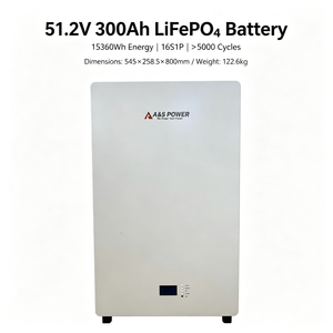 51.2V 300Ah LiFePO4 Home <b>Energy</b> <b>Storage</b> Battery 15360Wh Wall Mounted Lithium Iron Phosphate Power Battery for Solar <b>System</b> - Product Image 1