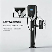 Nuevo Cargador EV con Interfaz Tesla Compatible con Reino Unido, Salida de CA con Opciones de 7kW/14kW/22kW/44kW, Entrada de 200-220V
