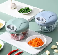 KZR Hachoir manuel multifonctionnel pour cuisine, mini-coupe-légumes, presse-ail, mixeur, best-seller