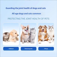 Comprimés à croquer nutritionnels quotidiens pour animaux de compagnie, multivitamines, calcium, vitamine D3, absorption rapide, sûrs, favorisent la santé osseuse