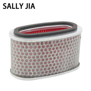 Filtro de Aire y Rejilla para Honda Shadow750 <span class=keywords><strong>Sandu</strong></span> 750 VT750 - Product Image 3
