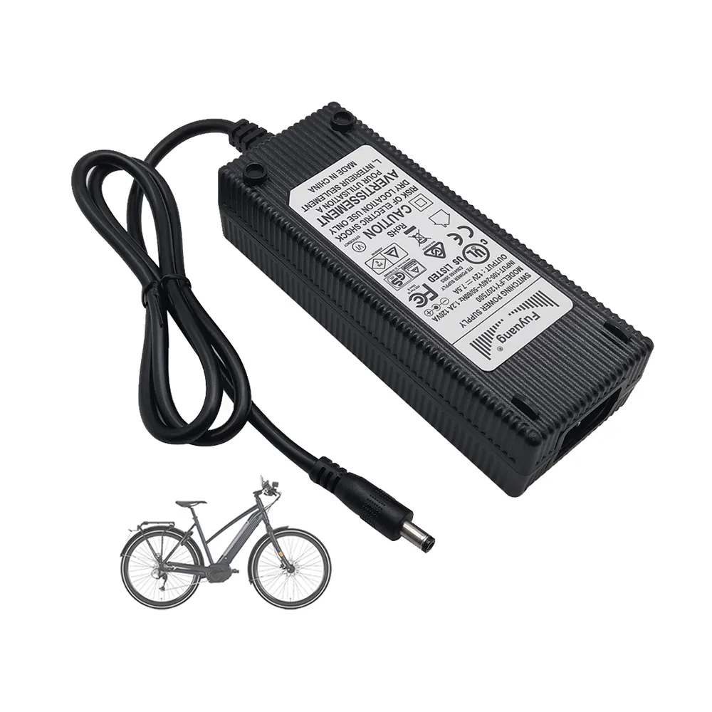 Inverter Ev Ebike e-bike E caricabatterie bici 12V 36V 42V 48V 60V 72V 14.6V 20A caricabatterie Lifepo4