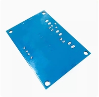 TZT XH-M542 TPA3116 D2 carte amplificateur de puissance numérique 100W Module amplificateur Audio Mono haute puissance