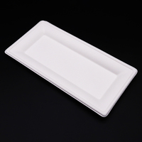 Assiettes jetables biodégradables 10*5 pouces en pulpe de bagasse de canne à sucre pour repas en extérieur et peinture