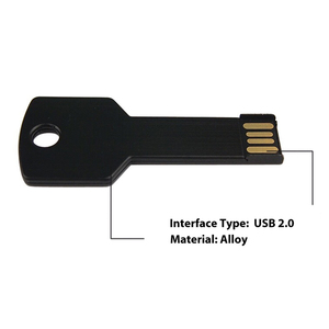 Vendita all'ingrosso 64GB USB USB 3.0 Flash Drive Logo personalizzato inciso <span class=keywords><strong>a</strong></span> <span class=keywords><strong>forma</strong></span> <span class=keywords><strong>di</strong></span> <span class=keywords><strong>chiave</strong></span> Pen Drive 1GB 2GB 4GB 8GB 16GB 32GB metallo Pendrive - Product Image 6