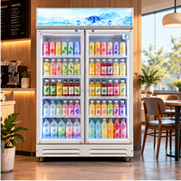 Réfrigérateur-vente vertical avec porte vitrée et dégivrage manuel pour magasin d'alimentation