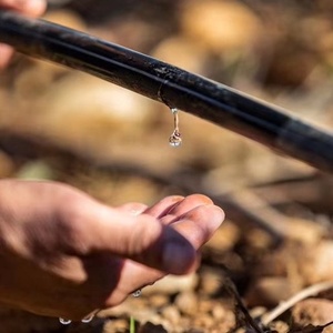 Sistema di <span class=keywords><strong>Irrigazione</strong></span> a Goccia Pandora in Plastica di Alta Qualità 7mil per Giardino e Fattoria, <span class=keywords><strong>Tubo</strong></span> Agricolo <span class=keywords><strong>con</strong></span> Portata di 1,38L/H e Distanza tra le Gocce di 10cm - Product Image 4