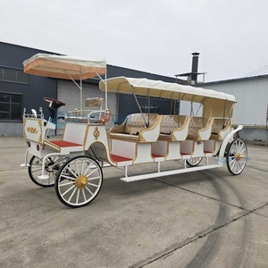Vente directe usine : Carrosse électrique blanc à 4 roues et 4 rangées pour mariages et visites touristiques, avec 4 à 6 places - Product Image 2