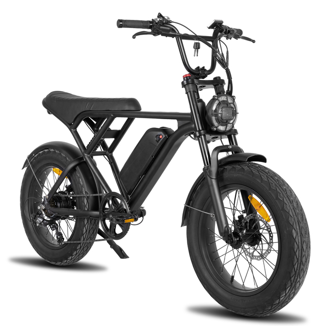 JOYKIE Fast Speed Electric Bicycles with Dual Motor Ebike 48V Dual Battery Fat Tire Electric Bike for Adult