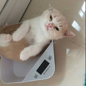 Timbangan makanan elektronik portabel, untuk hewan peliharaan, timbangan digital, timbangan berat makanan hewan peliharaan pintar, mangkuk pakan lambat, anjing dan kucing - Product Image 2