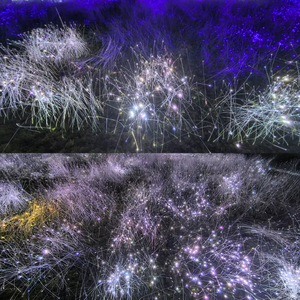Projecteur de plafond à fibres optiques 48W effet ciel étoilé avec moteur lumineux unique - Product Image 1