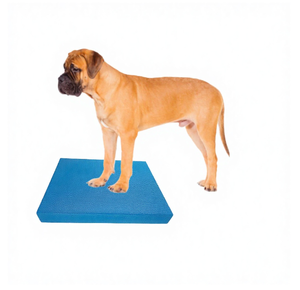 Kit de Pista de Agilidad para Perros Ecológico con Collar de Entrenamiento Impermeable para Ejercicios de Obediencia - Product Image 2