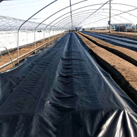 Toile géotextile anti-herbe en PP tissé stabilisée aux UV pour couverture agricole, rouleau de tissu noir, blanc, vert pour le contrôle des adventices et la protection des plantes