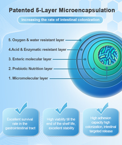 <span class=keywords><strong>Precio</strong></span> bajo <span class=keywords><strong>Lactobacillus</strong></span> <span class=keywords><strong>Acidophilus</strong></span> Powder 10B Probióticos liofilizados puros - Product Image 2