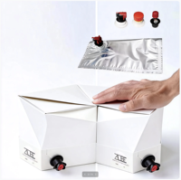 Bolsa de Cartón Resistente para Vino Tinto en Caja, Bolsas para Vino en Caja