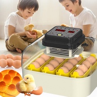 Incubateur à œufs automatique solaire pour volailles, 30 œufs, pièces et accessoires, entièrement automatique